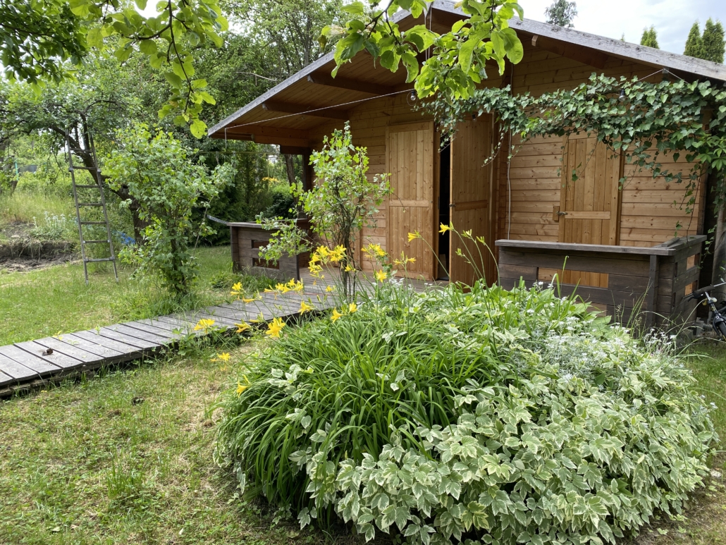 przyszłe miejsce oplotki pop-up - drewniany domek ukryty wśród zieleni